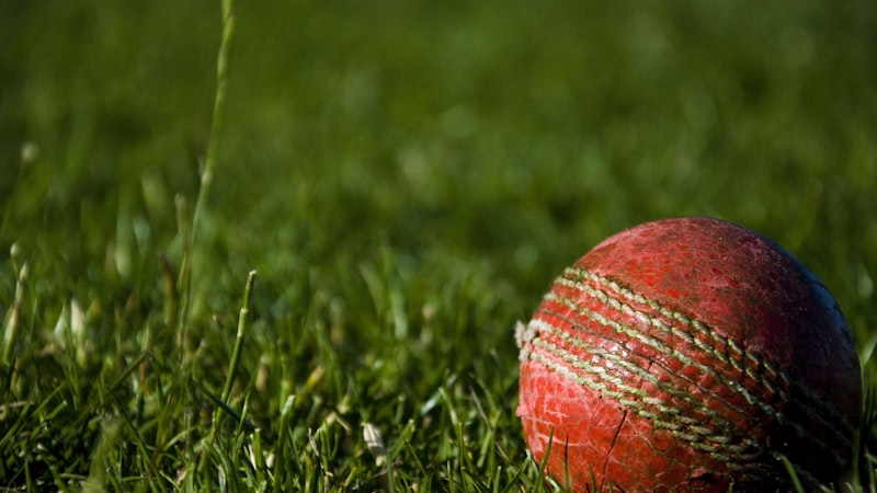 चिन्नास्वामी स्टेडियम में IPL मैच के दौरान 25 मोबाइल चोरी