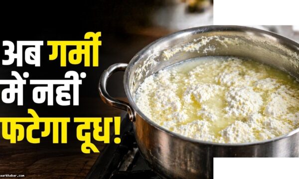 गर्मियों में दूध फटने से बचाएं यह 1 चीज