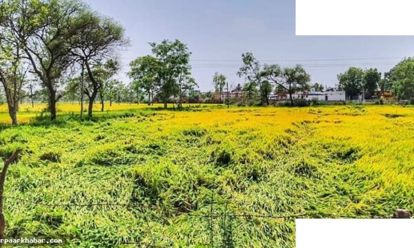 आंधी-बारिश अनिश्चित क्यों, ISRO-AMU का 35 साल का अध्ययन