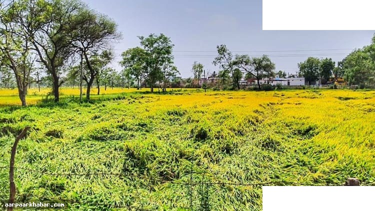 आंधी-बारिश अनिश्चित क्यों, ISRO-AMU का 35 साल का अध्ययन