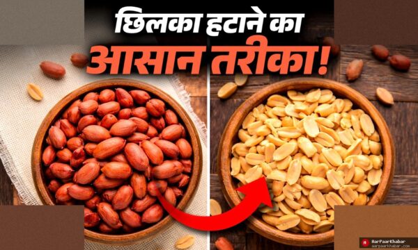 मूंगफली छीलने का जादुई तरीका – मिनटों में निकले छिलका