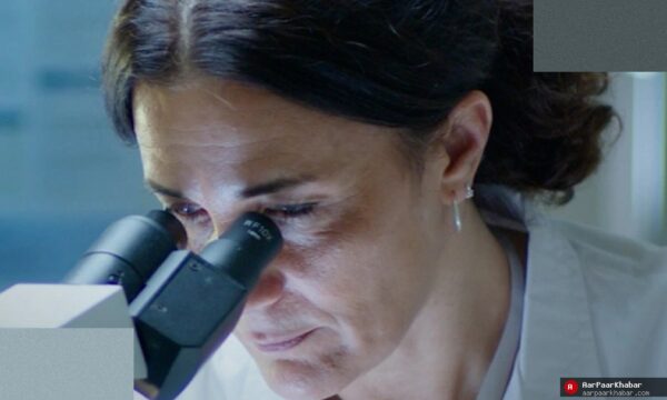 सूअर के स्पर्म का चिकित्सा क्षेत्र में बढ़ता उपयोग