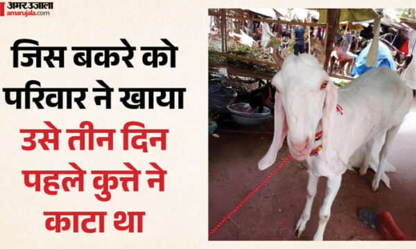 मटन खाने के बाद रेबीज का डर, पूरा परिवार अस्पताल