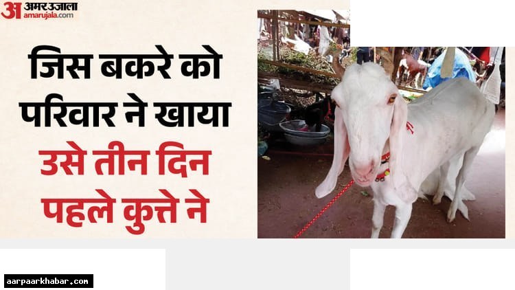 मटन खाने के बाद रेबीज का डर, पूरा परिवार अस्पताल