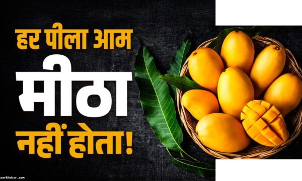 आम खरीदते समय कार्बाइड और नेचुरल में अंतर कैसे करें