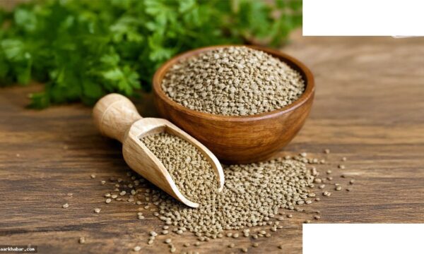 अजवाइन के फायदे: सेहत का खजाना