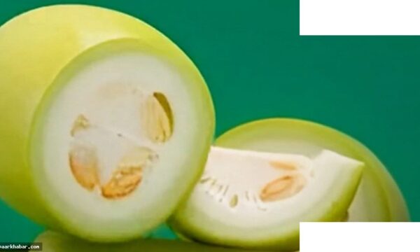 लौकी के बीज के फायदे: सेहत और ब्यूटी के लिए