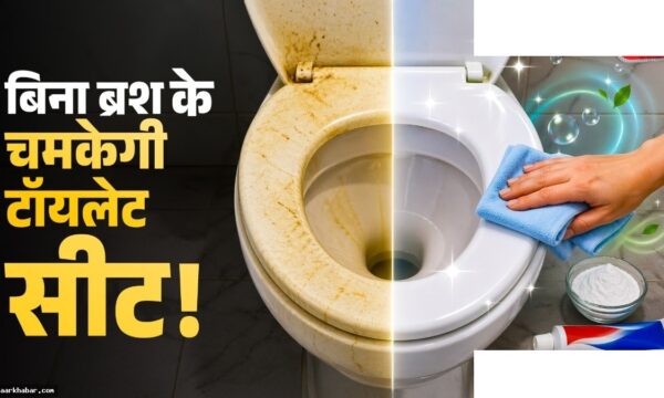 टॉयलेट सीट सफाई का आसान तरीका बिना रगड़े