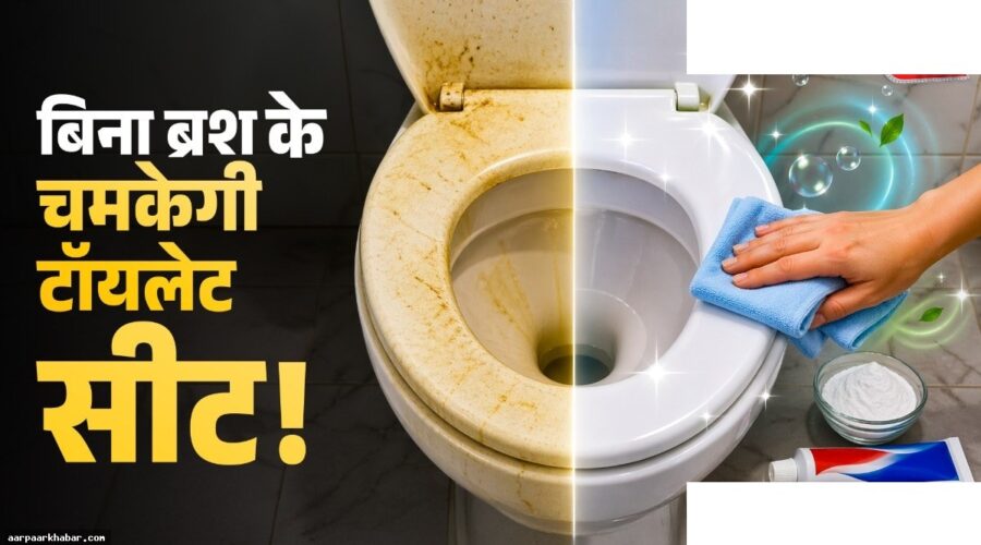 टॉयलेट सीट सफाई का आसान तरीका बिना रगड़े