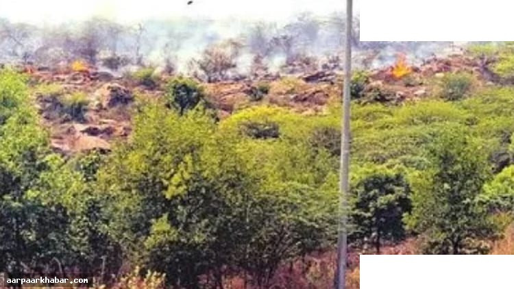 अरावली पहाड़ी में आग: इंद्री गांव की सुरक्षा