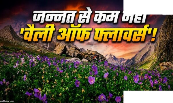 फूलों की घाटी 1 जून से खुल रही है, बच्चों के साथ जाएं