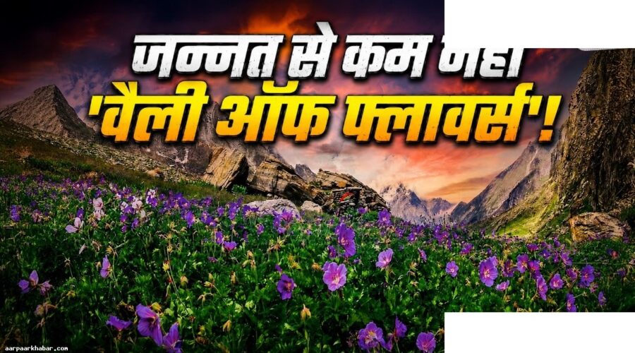फूलों की घाटी 1 जून से खुल रही है, बच्चों के साथ जाएं