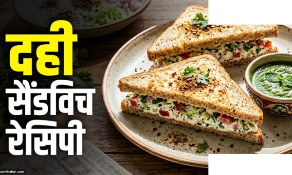 दही सैंडविच रेसिपी: 10 मिनट में बनाएं