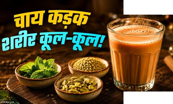 गर्मी में ठंडक देगी कड़क चाय – 3 घटक