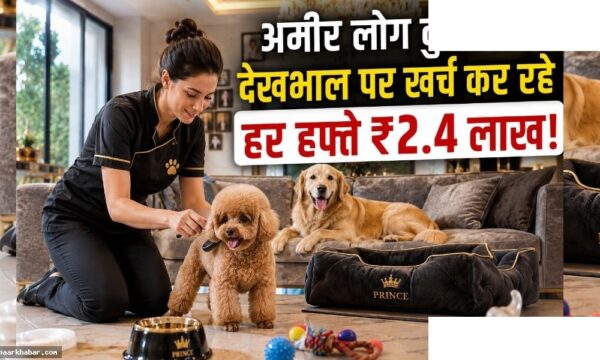 कुत्ते की देखभाल करके कमाएं 8 लाख रुपये महीना