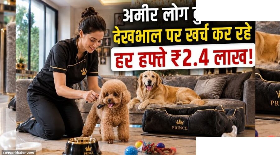 कुत्ते की देखभाल करके कमाएं 8 लाख रुपये महीना