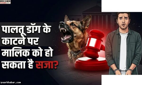 पालतू कुत्ता काटे तो मालिक को जेल हो सकती है