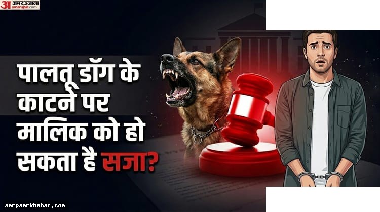 पालतू कुत्ता काटे तो मालिक को जेल हो सकती है