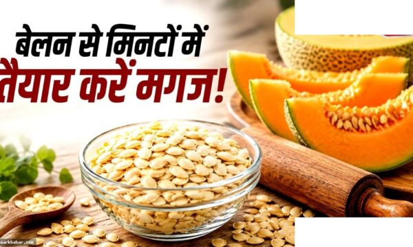 खरबूजे के बीज से घर पर बनाएं मगज