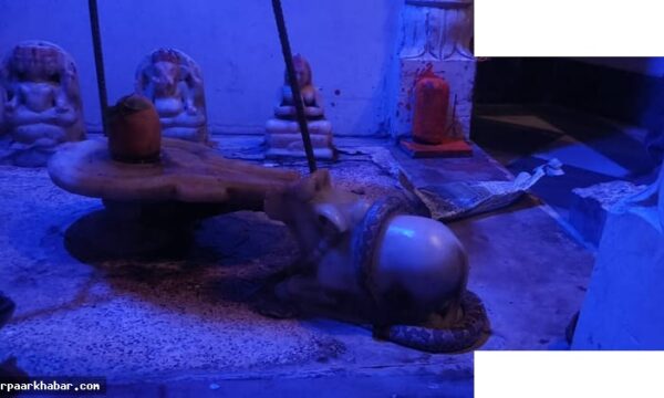 शिव मंदिर में नंदी पर सांप लिपटा रहा घंटों