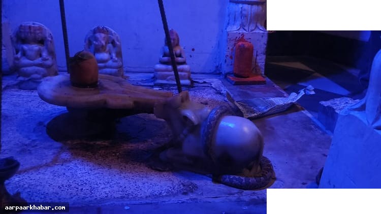 शिव मंदिर में नंदी पर सांप लिपटा रहा घंटों