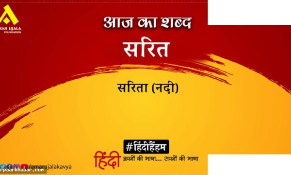 सरित और द्वारिका प्रसाद माहेश्वरी की कविता विश्लेषण