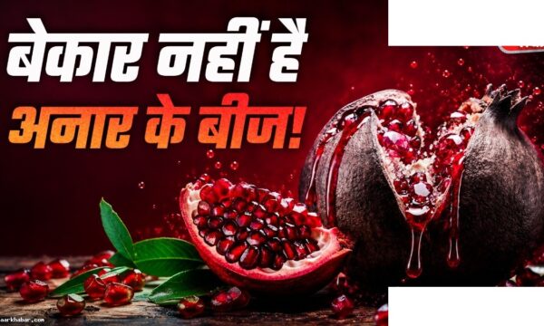 अनार के बीज के फायदे और सेहत के लिए गुण