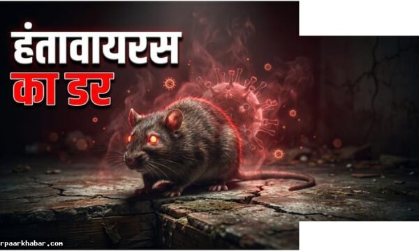 हंतावायरस प्रकोप: क्रूज जहाज यात्री क्वारंटीन