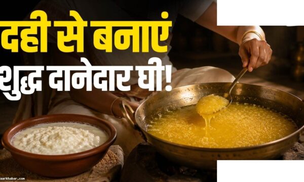 दही से घी बनाने की आसान विधि घर पर