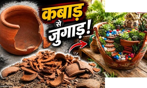 टूटे मटके को रीयूज करने के शानदार तरीके