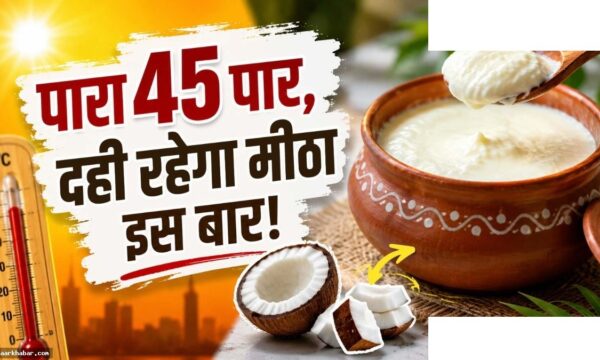 गर्मी में दही खट्टा न हो इसका देसी नुस्खा