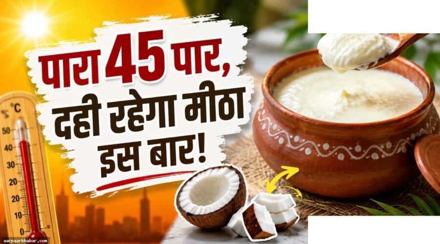 गर्मी में दही खट्टा न हो इसका देसी नुस्खा