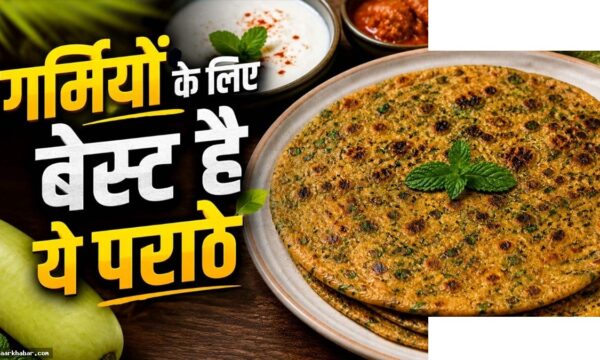 गर्मियों के लिए बेस्ट पराठे रेसिपी