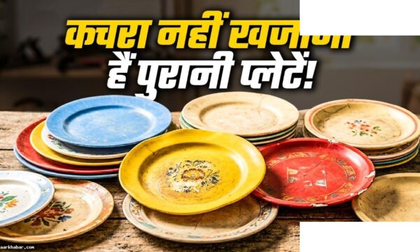 पुरानी प्लास्टिक की प्लेटों को रीयूज करने के तरीके