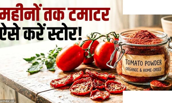 गर्मी में टमाटर पाउडर बनाने का आसान तरीका