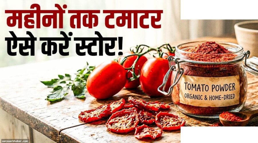गर्मी में टमाटर पाउडर बनाने का आसान तरीका