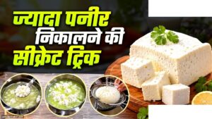 आधा लीटर दूध से बनाएं ज्यादा पनीर - आसान तरीका