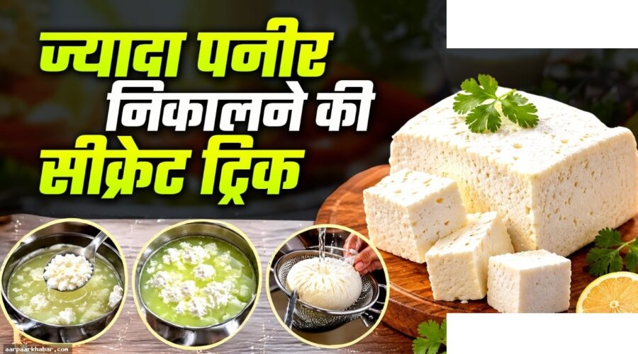 आधा लीटर दूध से बनाएं ज्यादा पनीर – आसान तरीका