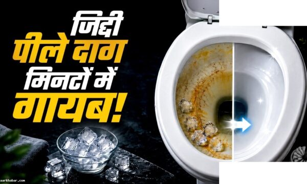 टॉयलेट सीट सफाई का आसान तरीका घर में ही