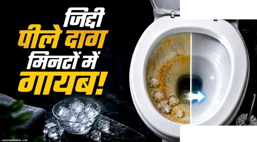 टॉयलेट सीट सफाई का आसान तरीका घर में ही
