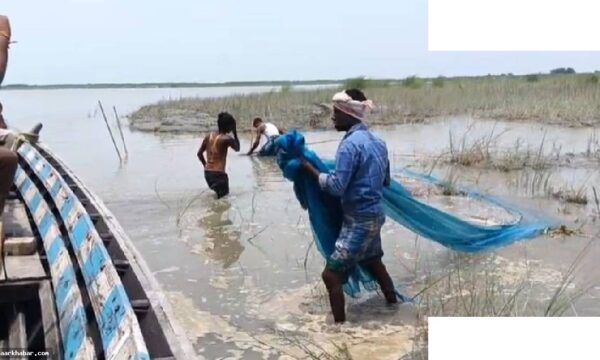 महाराष्ट्र: 15 अगस्त तक मछली पकड़ने पर रोक