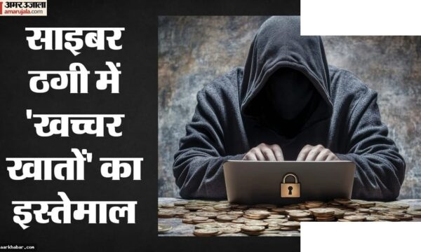 साइबर अपराध: अनपढ़ जालसाजों ने निकाले 480 करोड़