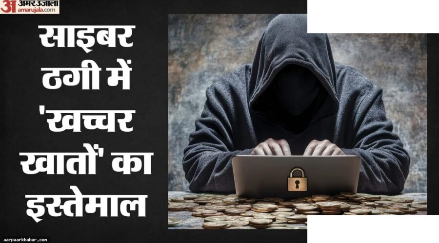 साइबर अपराध: अनपढ़ जालसाजों ने निकाले 480 करोड़