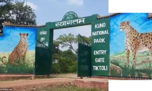 राष्ट्रपति मुर्मू का 5 दिन का MP दौरा