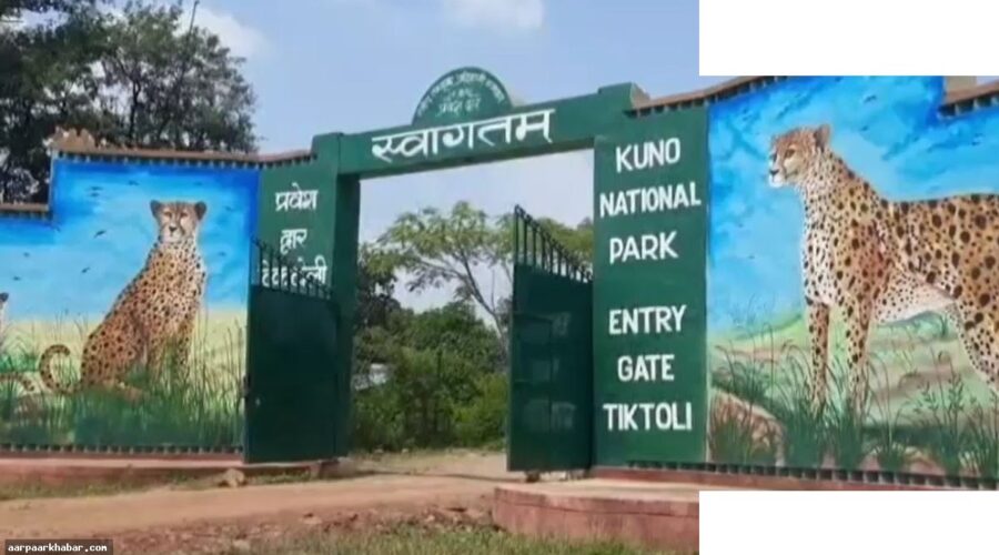 राष्ट्रपति मुर्मू का 5 दिन का MP दौरा