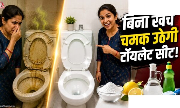 टॉयलेट सीट की पीली पड़ी साफ़ करने के 6 घरेलू तरीके