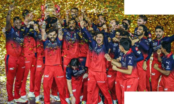 RCB लगातार दूसरी बार IPL चैंपियन, GT को रौंदा