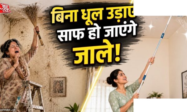 छत के जाले साफ करने की सीक्रेट ट्रिक