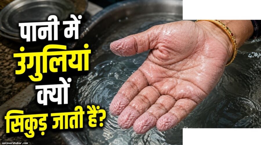 पानी में हाथ-पैर सिकुड़ने का वैज्ञानिक कारण