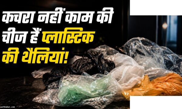 प्लास्टिक की थैलियों का दोबारा उपयोग करने के तरीके
